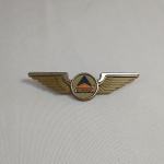 Lindo brevê da companhia aérea Delta Airlines. Fabricado em plástico. Mede 7cm de comprimento.