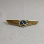 Lindo brevê da companhia aérea Eastern Airlines. Fabricado em plástico. Mede 7cm de comprimento.