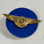 MILITARIA - Brevê de piloto da FAB no padrão dourado. Mede aprox. 4,5 cm de ponta a ponta da asa.