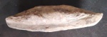 Fóssil de peixe petrificado, encrustado na rocha, sem especificação de datação. 7cm x 7cm x 23cm