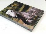 GARANHÕES - MANGA LARGA MARCHADOR 2000/2001 - 500 págs - No estado