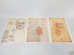 3 Gravuras Leonardo Da Vinci "Studio del volto e dell'occhio e uccelli e autoritratto " retrato De Impressão. Medida 29,5 x 40 cm