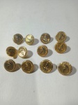 11 Antigos Botões  dourados da extinta VARIG, com Ícaro por símbolo, medindo: 1,3cm.