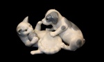 Escultura de porcelana esmaltada alemã de Ilmenau, manufatura "Metzler Brüder & Ortloff", moldada na representação de cãozinho e gato, ornada em policromia. Peça numerada "1849/3" na base inferior. 13 cm x 8 cm x 8 cm de altura. Alemanha, década de 1940.