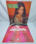 Antiguidade - Par de antigos LPs de famosas novelas sendo PANTANAL nacional, da Rede Manchete 1990 e ESTÚPIDO CUPIDO internacional 1976.