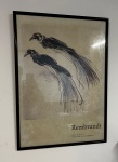 Gravura - Rembrandt - Pássaros - com marcas do tempo - Medida externa: 72cm x 52cm - Medida interna: 69cm x 49cm