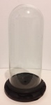 Redoma de vidro com base em madeira. Tamanho: 22cm de altura sem a base e 9,9cm de diâmetro.
