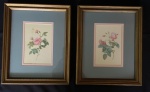 Lote com 2 (dois) quadros decorativos com moldura em madeira e proteção de vidro com desenho de rosas. Med.: 23x28cm.
