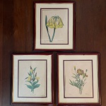 Lote com 3 (três) quadros decorativos, com gravuras de flores, moldura em madeira e proteção de vidro, med. 36X43cm