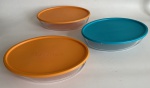 3 marinex com tampa. 30,5 x 22 x 7 cm de altura