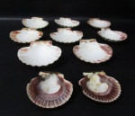 DIVERSOS - Conjunto para servir casquinha de siri composto de dez (10) conchas do mar. Medidas: maior: 12 cm de comprimento/ menor: 9,5 cm de comprimento. Uma com bicado na borda.
