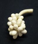 MARFIM - Cacho de frutos esculpidos em marfim. Med. 9 cm.