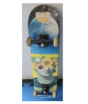 Skate montado profissional Solo Decks, Com. 80 cm. Construção do Shape 7 lâminas bitoladas, lixa já colada, rodas de poliuretano 53 mm/dureza 95ª, peso aprox. 2,200 kg.