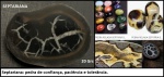 SEPTARIANA - CONHECIDA TAMBÉM COMO OLHO DO DRAGÃO - BÉLISSIMA PEÇA COLECIONÁVEL !!!!