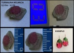 TURMALINA MELANCIA - COM AS 3 CORES PRESENTES PEÇA ESCASSA