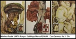 Máximo Postal 104A 106  - Fungo - Catálogo Marca R$90,00 - Com Carimbo De 1º Dia EM ESTADO MINT DE CONSERVAÇÃO