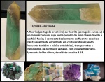 FLUORITA - MINERAL TRANSPARENTE E TRANSLUCIDO COM BÉLISSIMA MISTURA DE CORES UM SHOW DE CORES 1