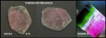TURMALINA MELANCIA - CRISTAL TRANSLUCIDO COM VERMELHO INTENSO COM TODAS AS CORES DA MELANCIA -  BÉLISSIMO!