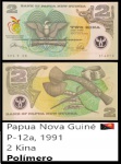PAPUA NOVA GUINÉ CEDULA EM POLIMERO DE 2 KINA ANO 1991 COMEMORATIVA - EM ESTADO FLOR DE ESTAMPA DE CONSERVAÇÃO