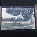 Bilhete Postal do Brazil, Quinta da Bôa Vista, trecho, Rio de Janeiro (340). A. Ribeiro, Rua Ambrosina 25 Aldeia Campista. Nº 157
