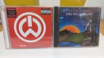 CD: DOIS CDs : WILLPOWER / THE WATERBOYS  . CDs EM ÓTIMO ESTADO