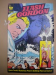 HQ - FLASH GORDON - Nº 35 - Ano 1981 - Editora Whitman - Formato americano - Publicação americana no idioma inglês - Revista em muito bom estado de conservação, contendo 36 páginas, em cores. 