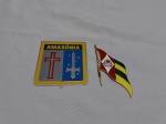 Lote de 2 placas do exército brasileiro. Medindo a maior 10cm x 8cm.