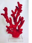 Escultura representando coral marinho, em resina, na cor vermelha. Med. 23,5x14 cm.