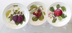 POMONA PORTMEIRION - Lote contendo três pratos em porcelana inglesa contemporaneos. Decorados com figuras frutiferas, flores e ramagens em policromia. Medindo 22cm de diametro.