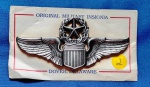 2 - U. S. AIR FORCE - COMMAND PILOT BADGE - 7,8 X 3,5 CM - ANOS 80