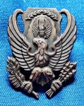 7 - U. S. AIR FORCE -  R.O.T.C.   BADGE - 2,5 X 2 CM - ANOS 80 -