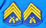 44 - POLÍCIA MILITAR -  TERCEIRO SARGENTO - DIVISAS - PAR - 7,5 X 9 CM