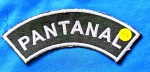 47 - EXÉRCITO BRASILEIRO - INSIGNIA BORDADA OMBRO - PANTANAL - 12 X 3,2 CM