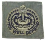 U.S. military instructor badges, U.S. Army Drill Sergeant Identification Badge, PATCH