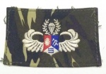 TAIWAN, SPECIAL FORCES, PARACHUTIST BADGE, 7,5 X 4,5 CM