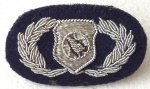 U.S. AIR FORCE - BULLION BADGE - BASIC WEAPONS OFFICE R- ESCASSO