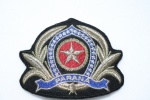 POLÍCIA MILITAR PARANÁ, ANOS 60/70, COCAR PARA QUEPE DE OFICIAL, BORDADO EM BROCADO