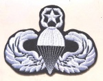 UNITED STATES PARATROPER - 10 X 8 CM