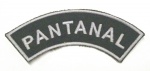 EXÉRCITO BRASILEIRO, PATCH, INSIGNIA DE OMBRO, PANTANAL