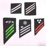 42 -  U.S. NAVY - INSIGNIAS - ENLISTED UNIFORMED SERVICE RANK - CONJUNTO