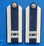 38 - U.S. AIR FORCE - PLATINAS DE CORONEL