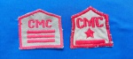 91 - 2 INSIGNIAS CMRJ