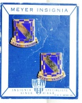 222 - ESTADOS UNIDOS, U.S. ARMY, 553TH ARMOREED INFANTRY BATTALIONN,  BADGES