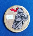 15 - THE BOY SCOUTS OF AMÉRICA - PATCH - ANOS 60/70 - 243 PATROL