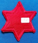 37 - PATCH - U.S.ARMY - 6TH INFANTRY DIVISION