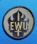 31 - U.S.ARMY - PATCH - SUBDUED -EAST WHASINGTON UNIVERSITY