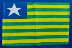 PIAUÍ - BANDEIRA PEQUENA - 28 X 18 CM - ALGODÃO GOMADO
