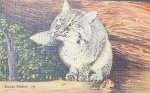 Vintage Postcard Florida Wildcat Pet Animal Painting Artwork Tichnor Quality New - 8,6 X 13,3 CM