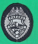 INSIGNIA OU PATCH, DE OMBRO, POLÍCIA MILITAR, PARANÁ,