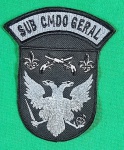 INSIGNIA OU PATCH, DE OMBRO, POLÍCIA MILITAR, PARANÁ,